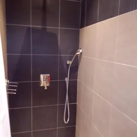 Hotel Le Moderne Saint-Paul-le-Jeune Room photo